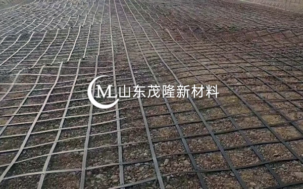 雙向拉伸塑料土工格柵產(chǎn)品演示圖1