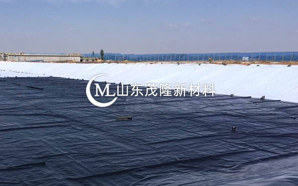 《衡水主城區(qū)生態(tài)修復(fù)工程》土工布、復(fù)合土工布施工