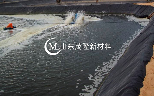 人工湖土工膜 第2張