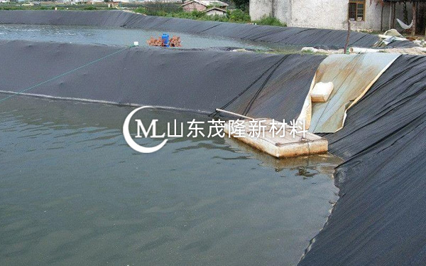 魚(yú)塘防滲膜 第4張