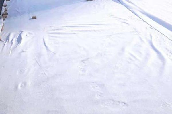 揭秘土工布：它到底有毒嗎？  第1張