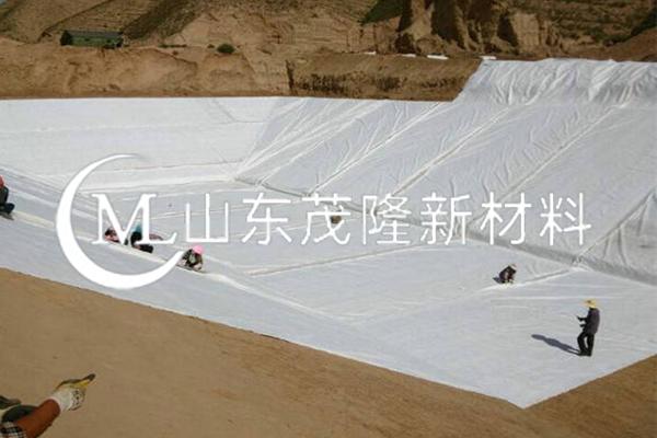 《順北油氣田一區(qū)奧陶系油氣藏產(chǎn)能建設項目-五號聯(lián)合站建設工程項目》土工布施工