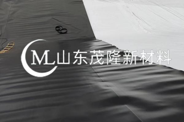 《牌樓繁育場項(xiàng)目》 HDPE土工膜施工