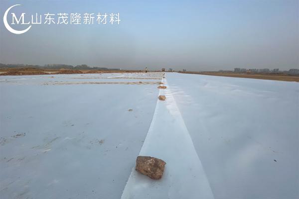 高強(qiáng)加筋土工布圖片  第2張